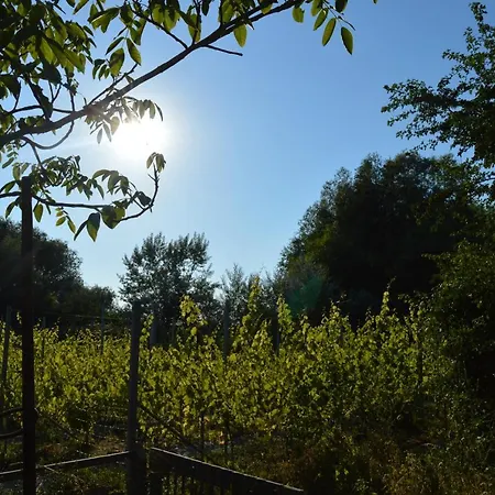 Natuurlijk Genieten Bemmel