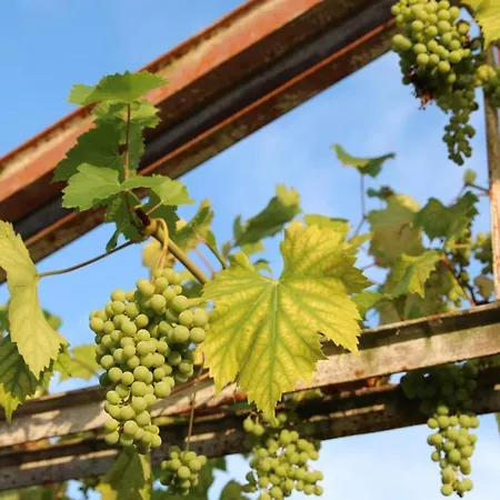 アパート Natuurlijk Genieten