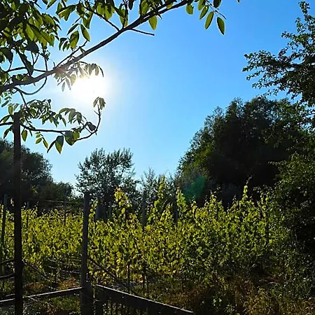 Natuurlijk Genieten Bemmel