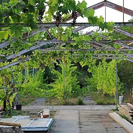 Natuurlijk Genieten Apartmán Bemmel