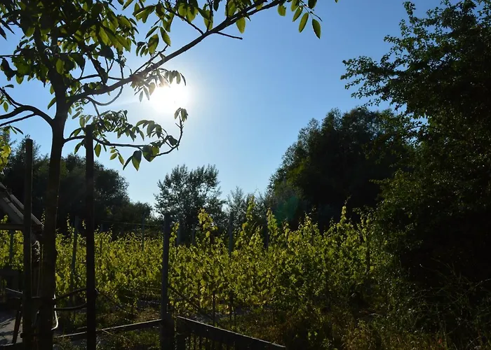 Natuurlijk Genieten Bemmel