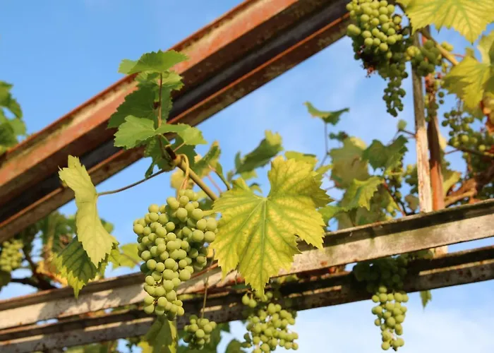 アパート Natuurlijk Genieten