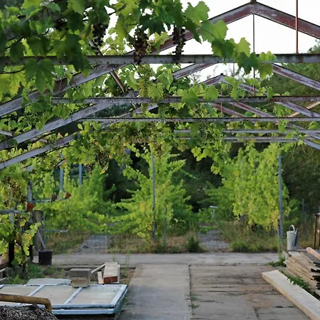 Natuurlijk Genieten Appartement